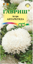 Астра Антарктида однолетняя белая пионовидная 0,3гр Гавриш
