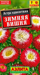 Астра Зимняя вишня помпонная 0,2гр Аэлита