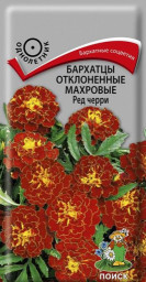 Бархатцы отклоненные махровые Ред черри 0,3гр Поиск
