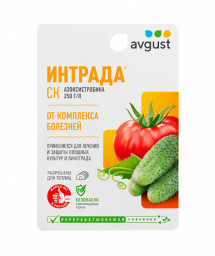 ИНТРАДА АВГУСТ 10мл