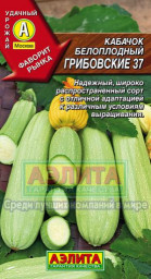 Кабачок Грибовские 37 2гр Аэлита цв