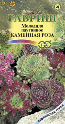 Молодило Каменная Роза 0,01гр Гавриш
