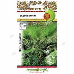 Пальма Вашингтония 4шт НК